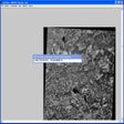 Icono de programa: GeoVisu