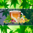 Ícone do programa: Medicina natural