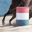 Icoon van programma: Rival Stars Horse Racing