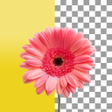 Icona del programma: Background Eraser : Remov…