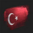 Icon of program: Turkish Ringtones