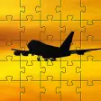Puzzle passenger airliner