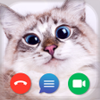 Иконка программы: Cat Fake Video Calls and …