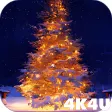 4K Christmas Tree Live Wallpaper