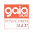 Ikon program: Gaia Enhancement Suite