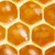 Ícone do programa: Spelling Bee Grid
