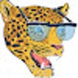 أيقونة البرنامج: Coupon Cheetah