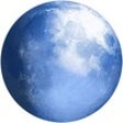 Icon of program: Pale Moon