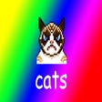 Icon of program: InternetOfCats