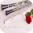 Icon of program: Flute Ringtones