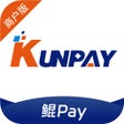 Ikon program: 鲲Pay-商户版