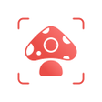 程序图标：Picture Mushroom - Mushro…