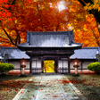 程序图标：京の秋2 for HOMEきせかえテーマ