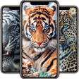 プログラムのアイコン：Leopard Wallpaper