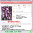 プログラムのアイコン：わたしのアロマセラピー