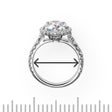 程序图标：Ring Sizer