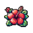 Icoon van programma: Hibisco