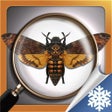 程序图标: Hidden Objects Collection