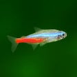 プログラムのアイコン：Tropical Fish Tank - Mini…