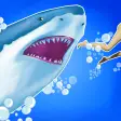 Symbol des Programms: Shark Master