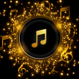Icoon van programma: Pi Music Player - Free Mu…