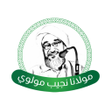 程序图标：Moulana