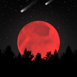 Icon of program: LYRICS I still think of y…