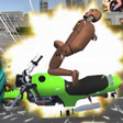Ikon program: Motorcycle Crash Dummy