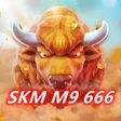 Programikonen: SKM M9 666