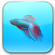 Symbol des Programms: SevenVG RC Theme for XP