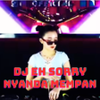 Icoon van programma: Dj Eh Sorry Nyanda Mempan