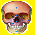 Icon of program: Jogando E Aprendendo Anat…