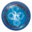 Icon of program: Osmos