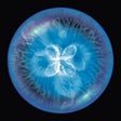 Icon of program: Osmos for iPad