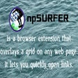 Ícone do programa: npSURFER