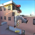프로그램 아이콘: Tony Hawk's Pro Skater 2