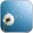 Иконка программы: Wallpapers for Sony Xperi…