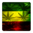 Program simgesi: Rasta Keyboard
