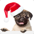 プログラムのアイコン：Guess the Dog: Tile Puzzl…
