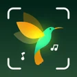 BirdID - Sound Bird Identifier