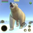 プログラムのアイコン：Polar bear survival simul…
