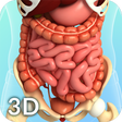 Иконка программы: Digestive System Anatomy