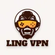 LING VPN