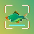 Ikona programu: Fish Identifier - Fish Fi…