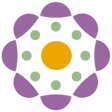 Symbol des Programms: Nightshade for Canvas