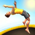 Pictogram van programma: Flip Master