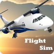 ไอคอนของโปรแกรม: Flight Sim