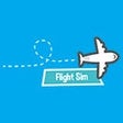Programikonen: Flight Sim