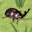 Иконка программы: Bug Battle Simulator 3D
