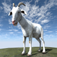プログラムのアイコン：Goat Sim Crazy City Simul…